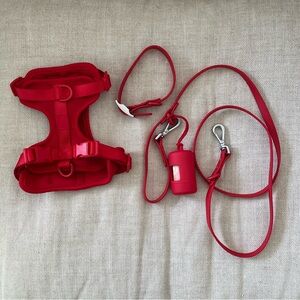 Wild One Small Dog Walk Kit in Red + Collar